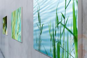 Signframes