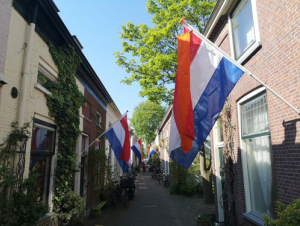 Actieset Nederlandse vlag